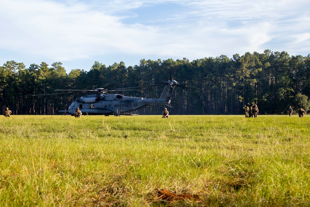 U.S. Marines with 2nd Air Naval Gunfire Liaison Company, II Marine Expeditionary Force Information Group, and NATO allied service members set security during Burmese Chase 24 at Marine Corps Base Camp Lejeune, North Carolina, Sept. 17, 2024. Burmese Chase is an annual U.S. led, multi-lateral exercise that includes training on integration of ground and air fires, infantry tactics and naval gunfire alongside NATO allies. (U.S. Marine Corps photo by Cpl. Jacquilyn Davis)