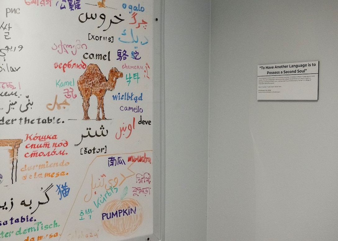 Language Whiteboard Exhibit at the National Cryptologic Museum