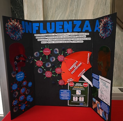 Beaufort S.C.- Build a Bug project, Influenza A poster created by the Occupational Health team.