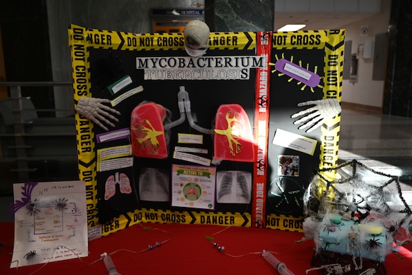 Beaufort S.C.- Build a Bug project winner, created by the Main Operating Room team.