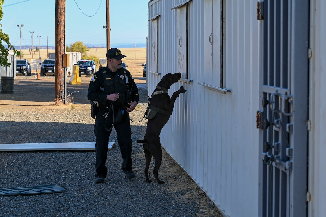 U.S. Air Force Airmen from the 9th Security Forces Squadron work alongside the Sacramento County Sheriff’s Office Airport Bureau explosive detection K9 team during joint training organized by Beale’s Explosive Ordnance Disposal team at Beale Air Force Base, California, Oct. 24, 2024