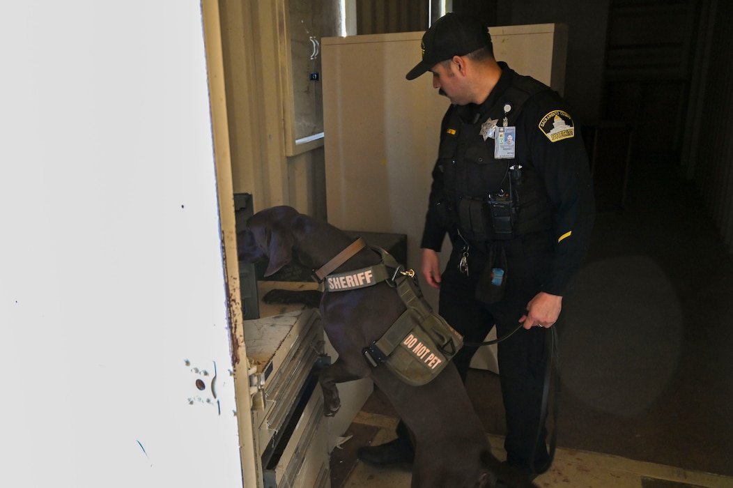 U.S. Air Force Airmen from the 9th Security Forces Squadron work alongside the Sacramento County Sheriff’s Office Airport Bureau explosive detection K9 team during joint training organized by Beale’s Explosive Ordnance Disposal team at Beale Air Force Base, California, Oct. 24, 2024