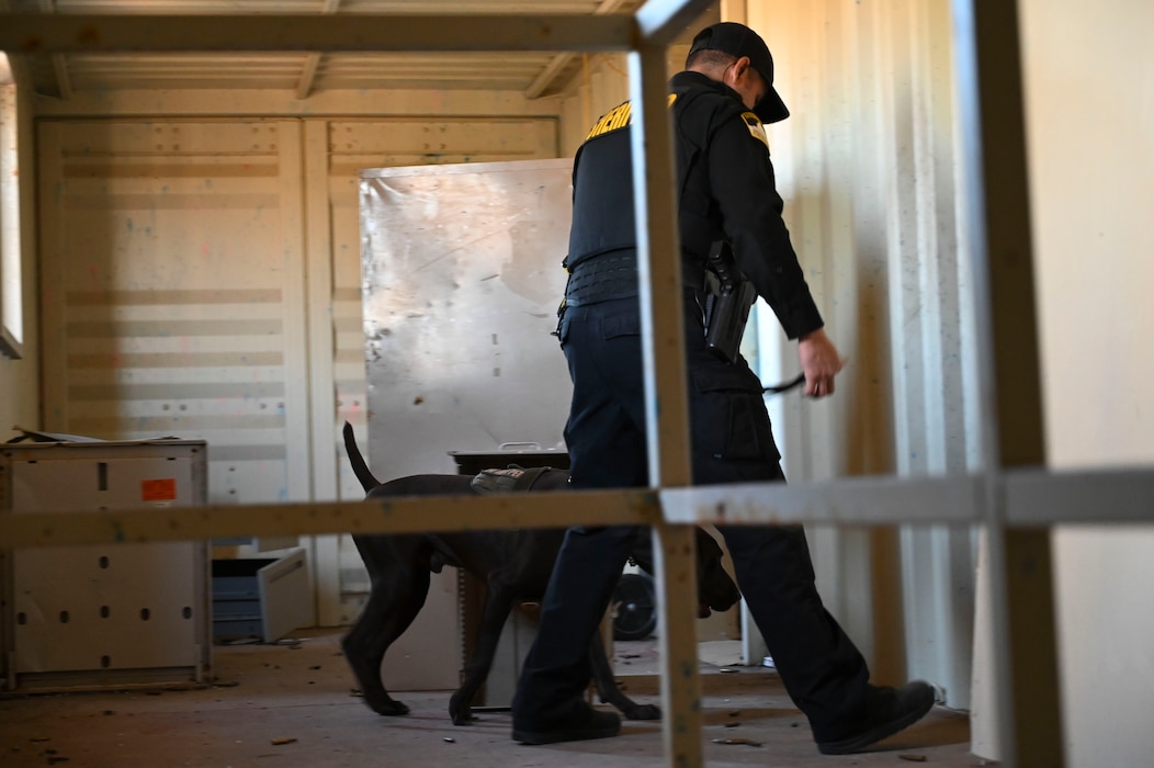 U.S. Air Force Airmen from the 9th Security Forces Squadron work alongside the Sacramento County Sheriff’s Office Airport Bureau explosive detection K9 team during joint training organized by Beale’s Explosive Ordnance Disposal team at Beale Air Force Base, California, Oct. 24, 2024