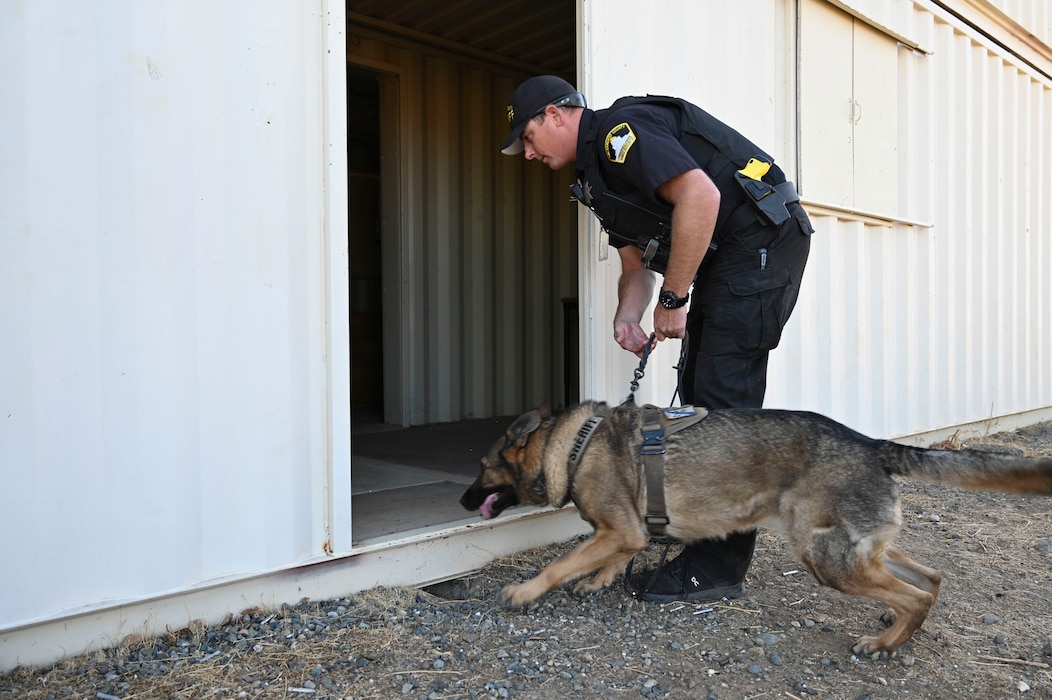 U.S. Air Force Airmen from the 9th Security Forces Squadron work alongside the Sacramento County Sheriff’s Office Airport Bureau explosive detection K9 team during joint training organized by Beale’s Explosive Ordnance Disposal team at Beale Air Force Base, California, Oct. 24, 2024