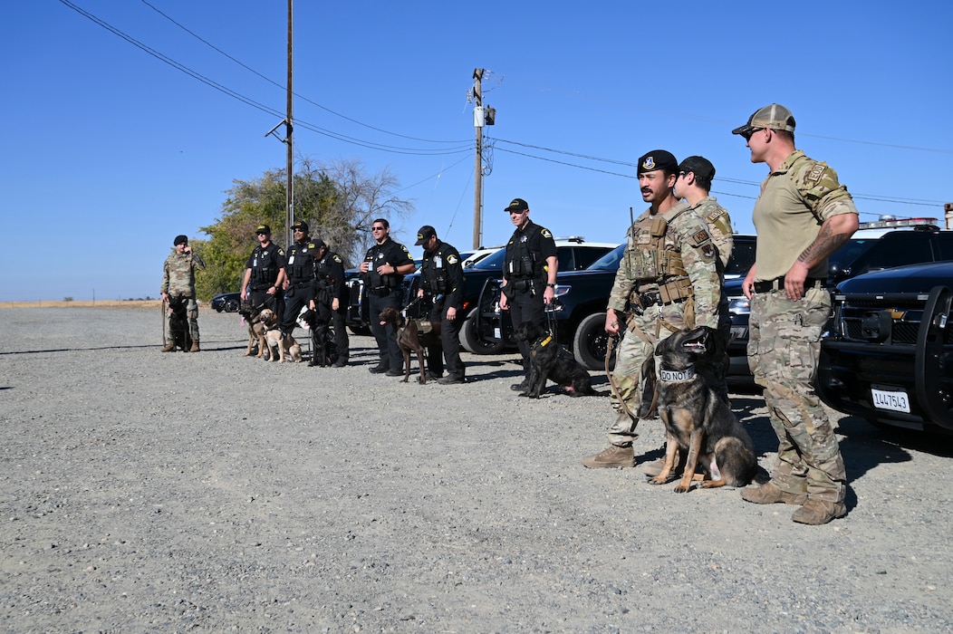 U.S. Air Force Airmen from the 9th Security Forces Squadron work alongside the Sacramento County Sheriff’s Office Airport Bureau explosive detection K9 team during joint training organized by Beale’s Explosive Ordnance Disposal team at Beale Air Force Base, California, Oct. 24, 2024