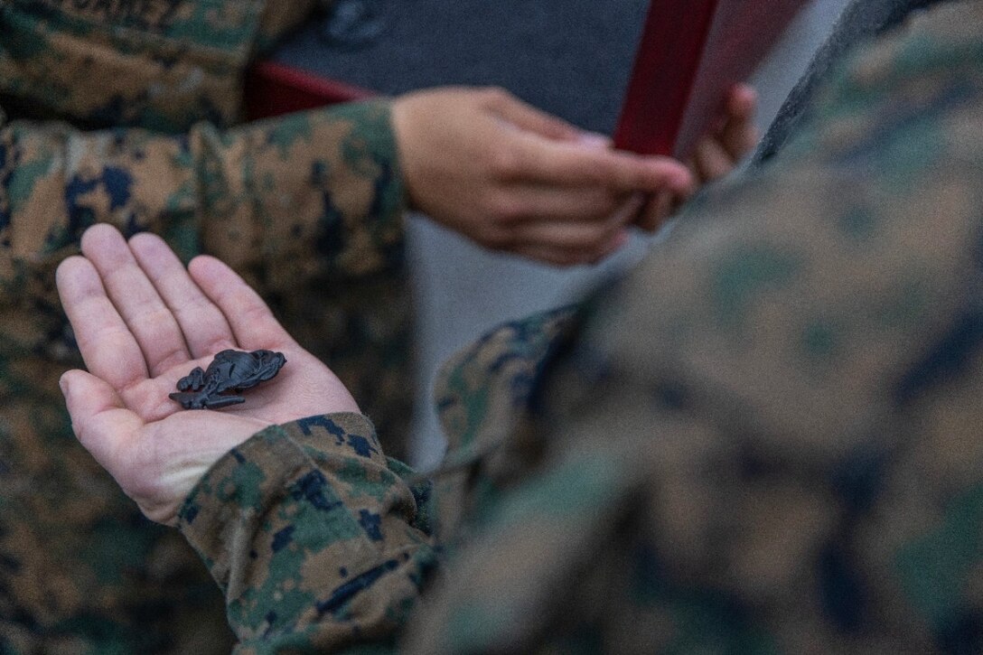 FY22 Parris Island December, EGA Ceremony, Eagle Globe and Anchor, Enlisted, Male, Multiple Ethnicities, Utilities, Utility Uniform, Forest Camo, Forest Cami, Woodland Camo, Woodland Cami, Portrait, Emblem, Insignia