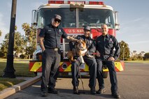 U.S. Marine Corps Lance Cpl. Bruno, the  Marine Corps Recruit Depot San Diego and Western Recruiting Region mascot, poses with Federal Fire Department San Diego, Station 19, at the 2024 Marine Corps Recruit Depot San Diego Boot Camp Challenge at MCRD San Diego, California, Oct. 19, 2024. For the past 23 years, MCRD San Diego has hosted the Boot Camp Challenge, a three-mile obstacle course race guided by 60 drill instructors that highlights the physical and mental demands of bootcamp. The event fosters comradery and community engagement through interaction with MCRD personnel. (U.S. Marine Corps photo by Cpl. Sarah M. Grawcock)