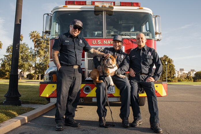 U.S. Marine Corps Lance Cpl. Bruno, the  Marine Corps Recruit Depot San Diego and Western Recruiting Region mascot, poses with Federal Fire Department San Diego, Station 19, at the 2024 Marine Corps Recruit Depot San Diego Boot Camp Challenge at MCRD San Diego, California, Oct. 19, 2024. For the past 23 years, MCRD San Diego has hosted the Boot Camp Challenge, a three-mile obstacle course race guided by 60 drill instructors that highlights the physical and mental demands of bootcamp. The event fosters comradery and community engagement through interaction with MCRD personnel. (U.S. Marine Corps photo by Cpl. Sarah M. Grawcock)