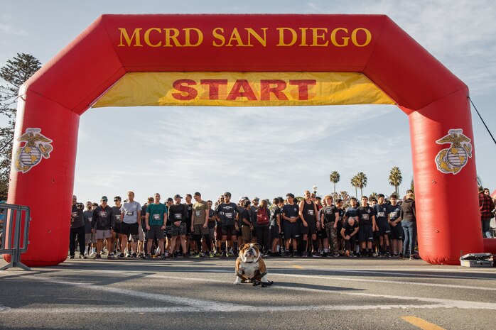 U.S. Marine Corps Lance Cpl. Bruno, the  Marine Corps Recruit Depot San Diego and Western Recruiting Region mascot, poses for a photo with participants of the 2024 Marine Corps Recruit Depot San Diego Boot Camp Challenge at MCRD San Diego, California, Oct. 19, 2024. For the past 23 years, MCRD San Diego has hosted the Boot Camp Challenge, a three-mile obstacle course race guided by 60 drill instructors that highlights the physical and mental demands of bootcamp. The event fosters comradery and community engagement through interaction with MCRD personnel. (U.S. Marine Corps photo by Cpl. Sarah M. Grawcock)