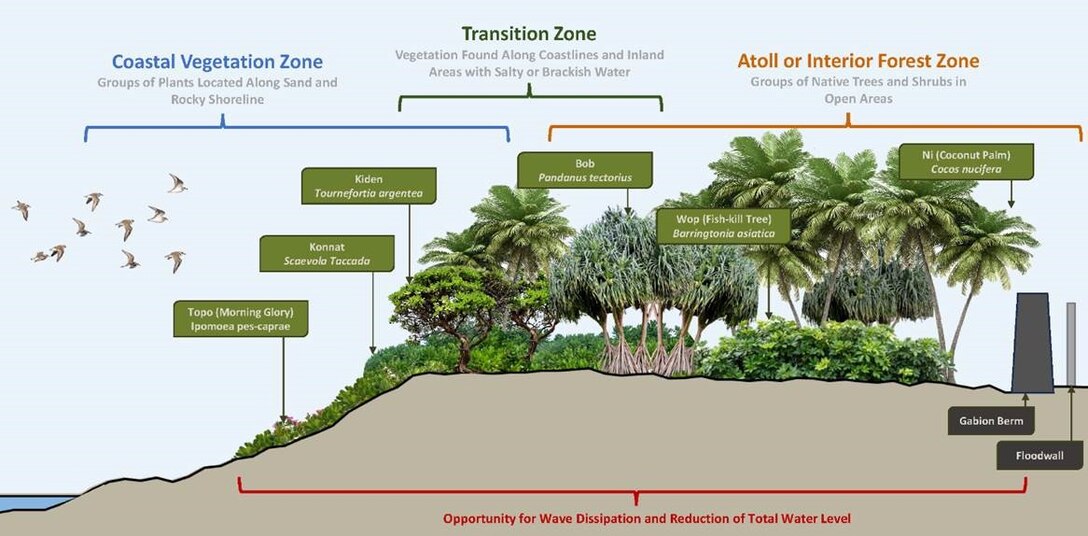 This is a computerized graphic of an island with numerous types of trees and bushes on it in front of a gabion (rock wall) and a concrete seawall in front of the ocean.