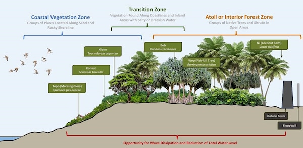 This is a computerized graphic of an island with numerous types of trees and bushes on it in front of a gabion (rock wall) and a concrete seawall in front of the ocean.