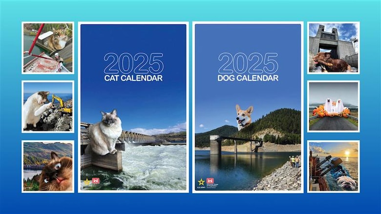 An image with the text 2025 Cat Calendar and 2025 Dog Calendar is displayed. On the image are four additional images of cats on structures known as dams. There are also four images of dogs on different structures.