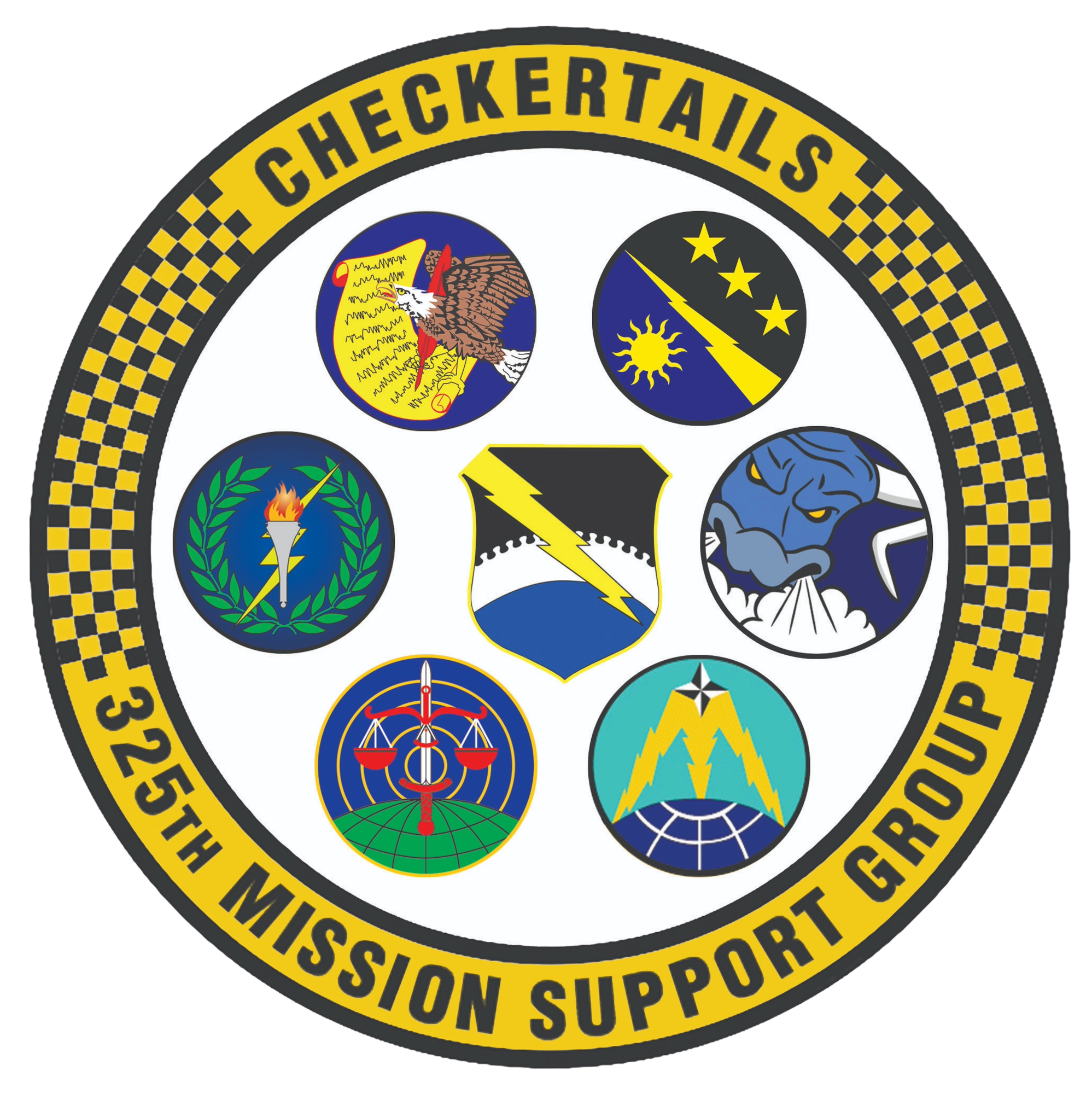 325th Mission Support Group Patch