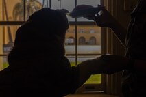 U.S. Marine Corps Lance Cpl. Bruno, the Marine Corps Recruit Depot San Diego and Western Recruiting Region mascot, celebrates his 2nd birthday at MCRD San Diego, California, Oct. 22, 2024. The mascot’s job is to boost morale, participate in outreach work and attend events and ceremonies. (U.S. Marine Corps photo by Cpl. Janell B. Alvarez)