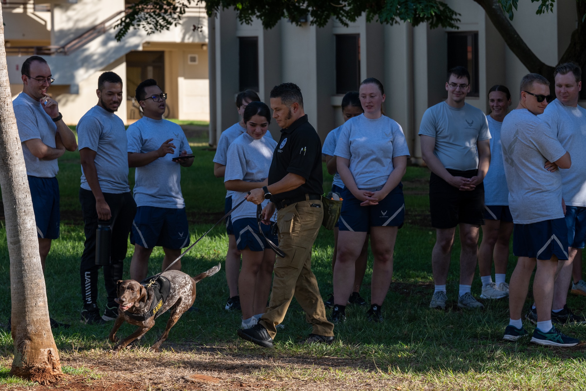 Dog searches for simulated contraband