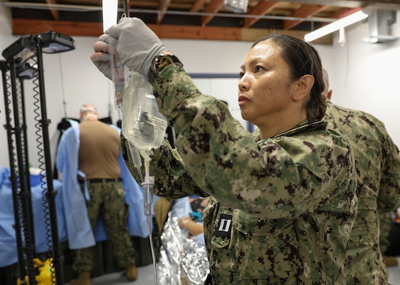 240827-N-DE439-1203 KEFLAVIK AIR BASE, Iceland (Aug. 27, 2024) Lt. Erly H. Umayam, emergency trauma nurse, simulates administering medication to a patient through an IV during a simulated surgery during exercise Northern Viking 24 (NV24) on Keflavik Air Base, Iceland, Aug. 27, 2024. NV24 strengthens interoperability and force readiness between the U.S., Iceland and Allied nations, enabling multi-domain command and control of joint and coalition forces in the defense of Iceland and Sea Lines of Communication in the Greenland, Iceland, United Kingdom (GIUK) gap. (U.S. Navy photo by Mass Communication Specialist 1st Class Almagissel Schuring)