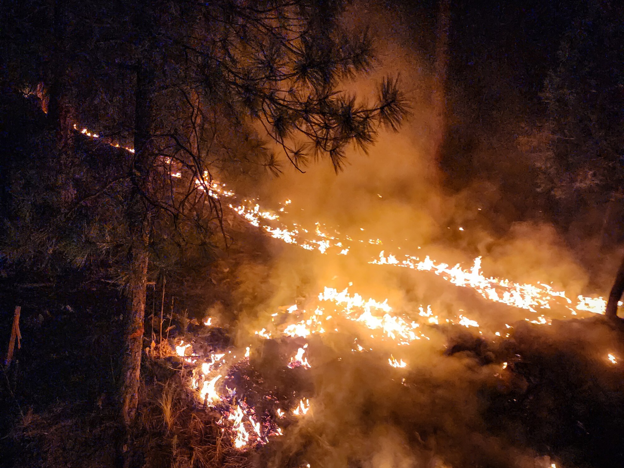 Flames burn through forest terrain during the South Fork Fire in the early morning hours of June 18, 2024, near Ruidoso, New Mexico. Reserve Citizen Airman Tech. Sgt. Orlando Rodriguez, a volunteer firefighter in High Rolls, New Mexico, captured this image while responding to the blaze. (Photo contributed by Tech. Sgt. Orlando Rodriguez)