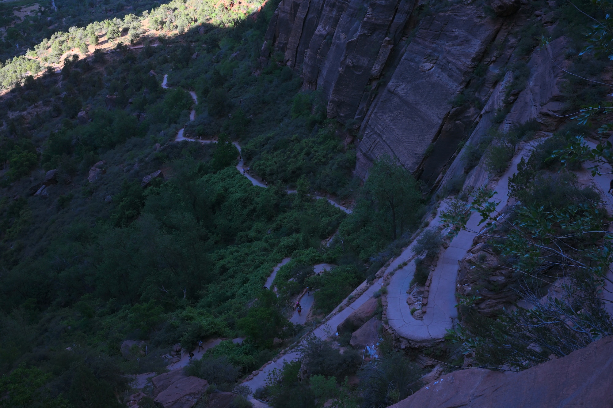 West Rim Trail in Zion National Park
