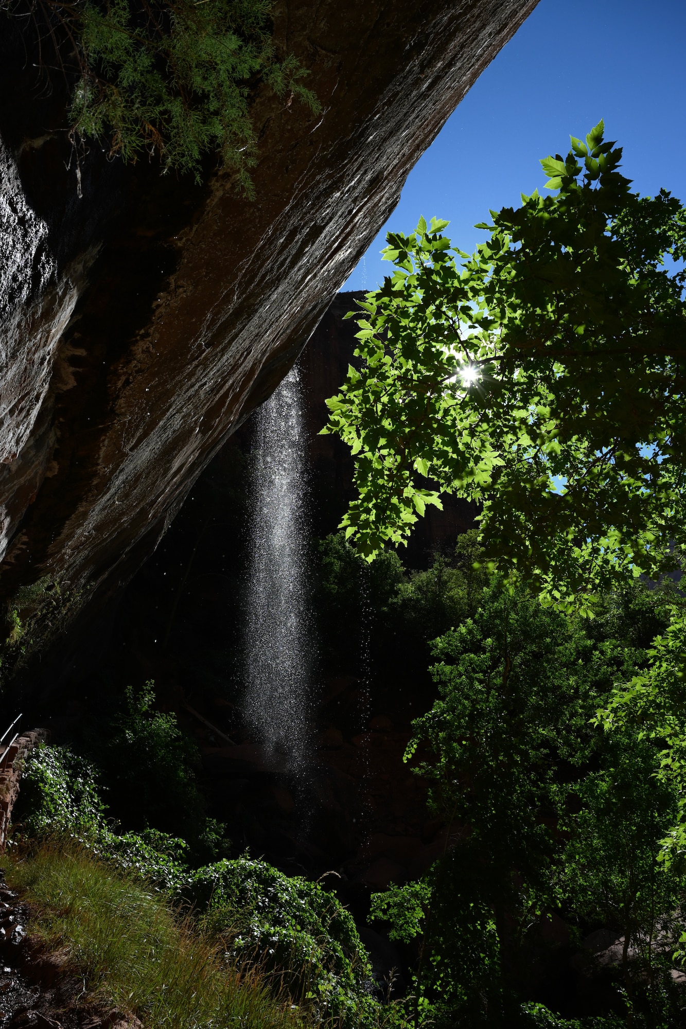 A waterfall in Zion National Park.