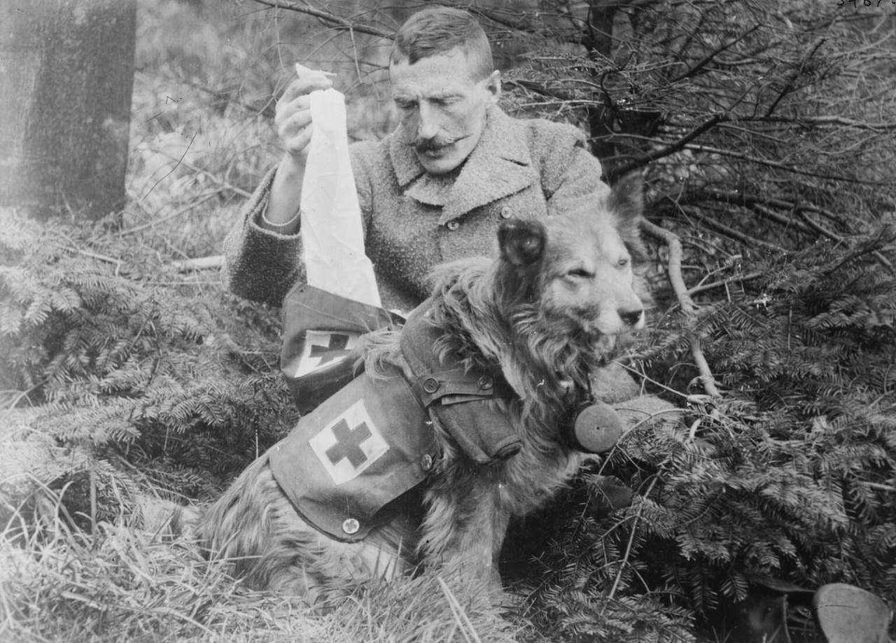 A dog sits beside a man who is pulling something out of a satchel attached to the dog.