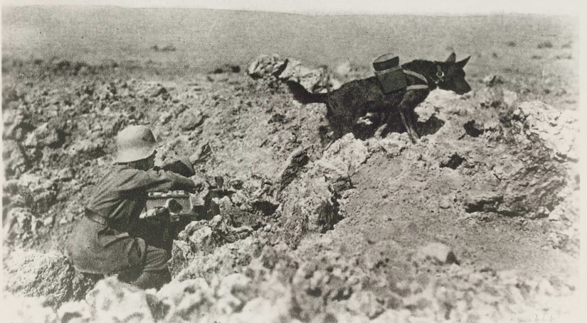 A man in a trench watches a dog with a pack on its back leave the trench.