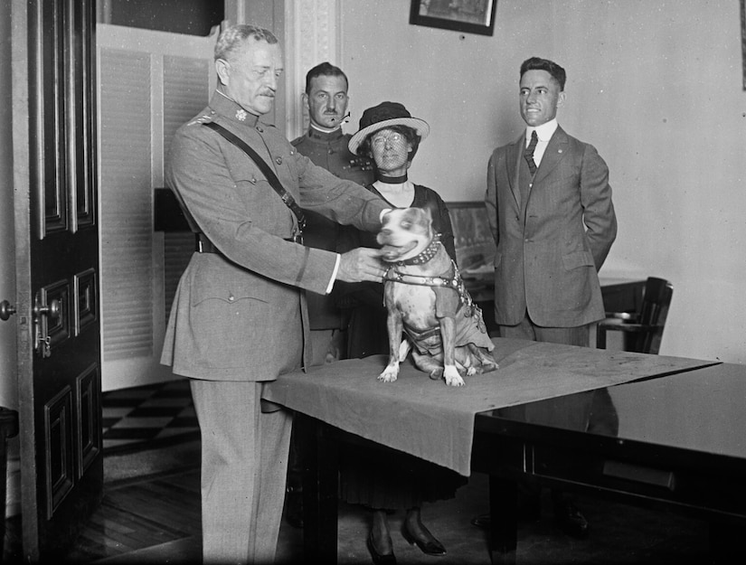 A man pets a small service dog sitting on a table. Others stand in the background.