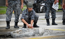 RADR training with JASDF