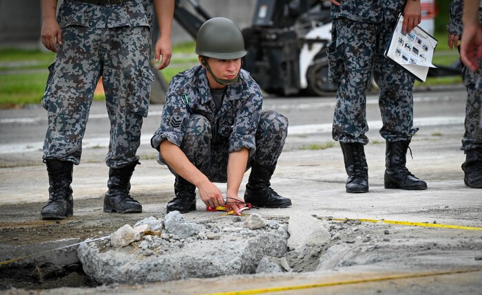 RADR training with JASDF