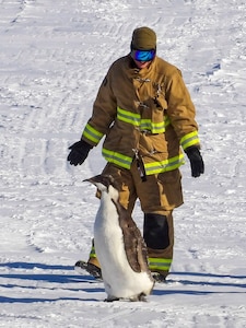 Pennsylvania Air National Guard Staff Sgt. Robbie Gregor from the 171st Air Refueling Wing gently encourages an emperor penguin to leave an active runway while supporting Operation Deep Freeze at the National Science Foundation's McMurdo Research Center, Antarctica, in January 2024. Operation Deep Freeze involves logistical support for scientific research.