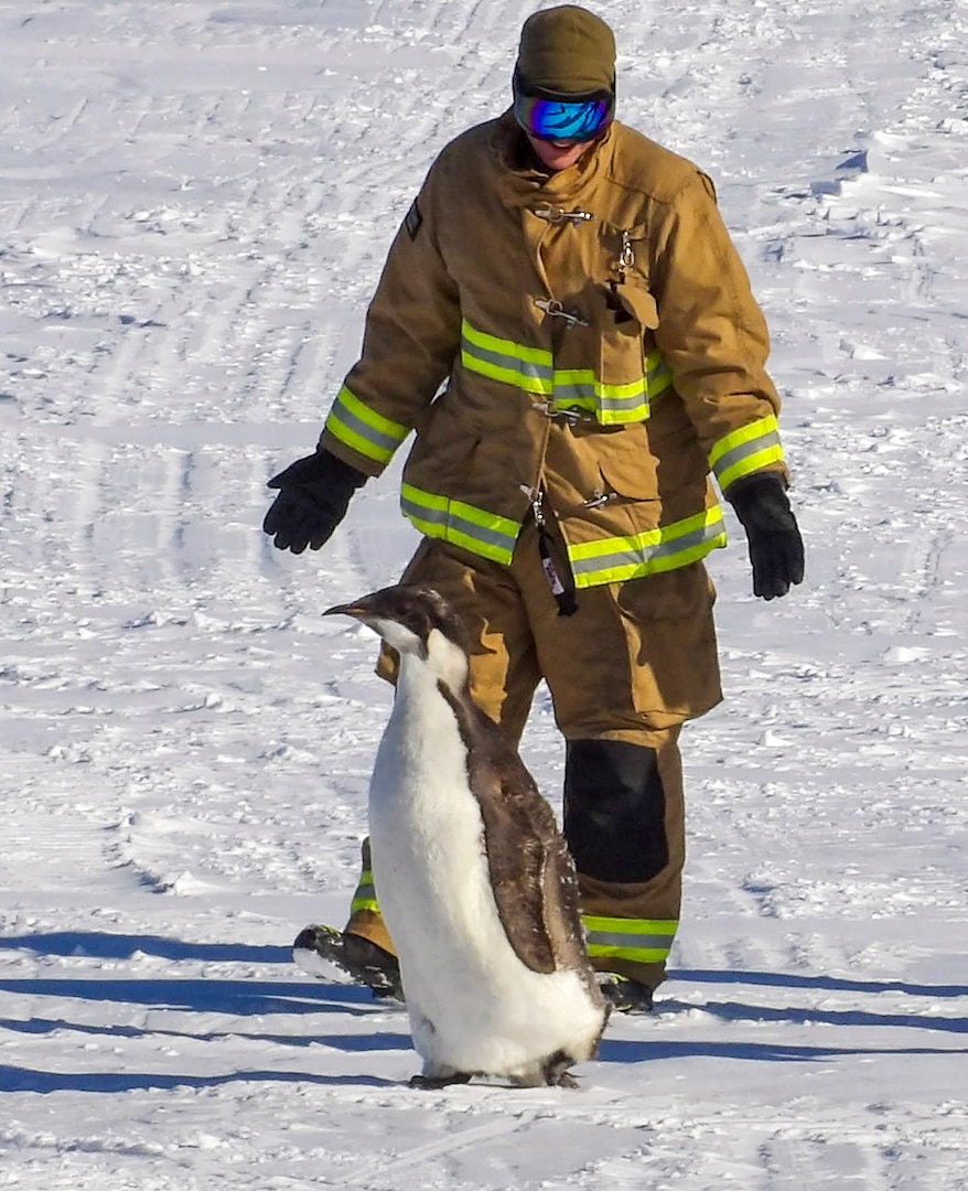 Pennsylvania Air National Guard Staff Sgt. Robbie Gregor from the 171st Air Refueling Wing gently encourages an emperor penguin to leave an active runway while supporting Operation Deep Freeze at the National Science Foundation's McMurdo Research Center, Antarctica, in January 2024. Operation Deep Freeze involves logistical support for scientific research.