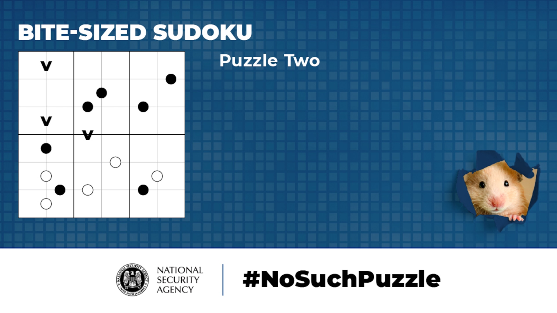 No Such Puzzle: Bit-sized Sudoku Puzzle Two Graphic