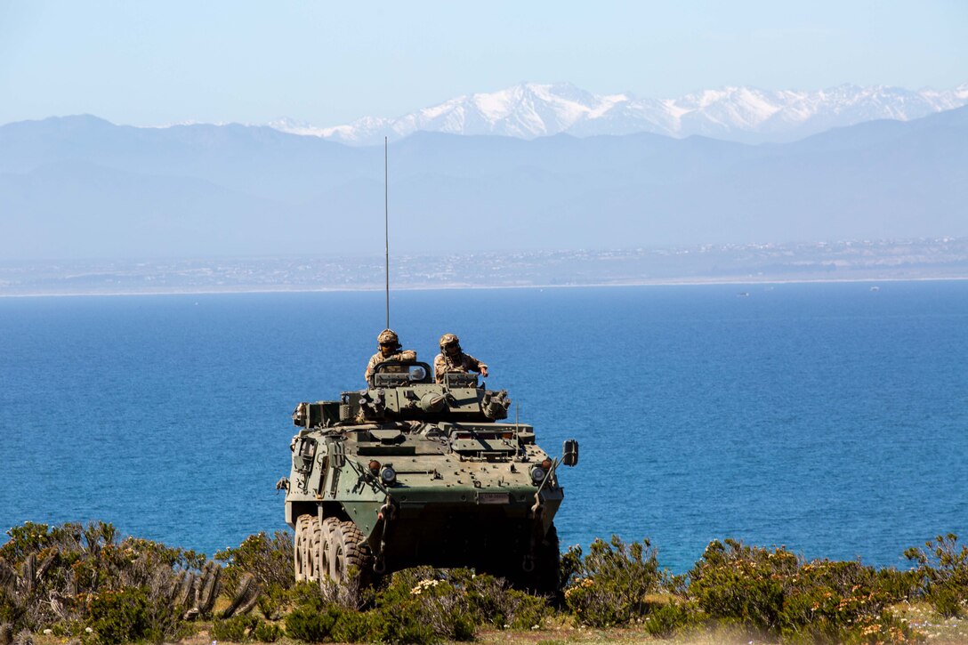 Light Armored Vehicles Joint Live Fire Range: UNITAS 2024