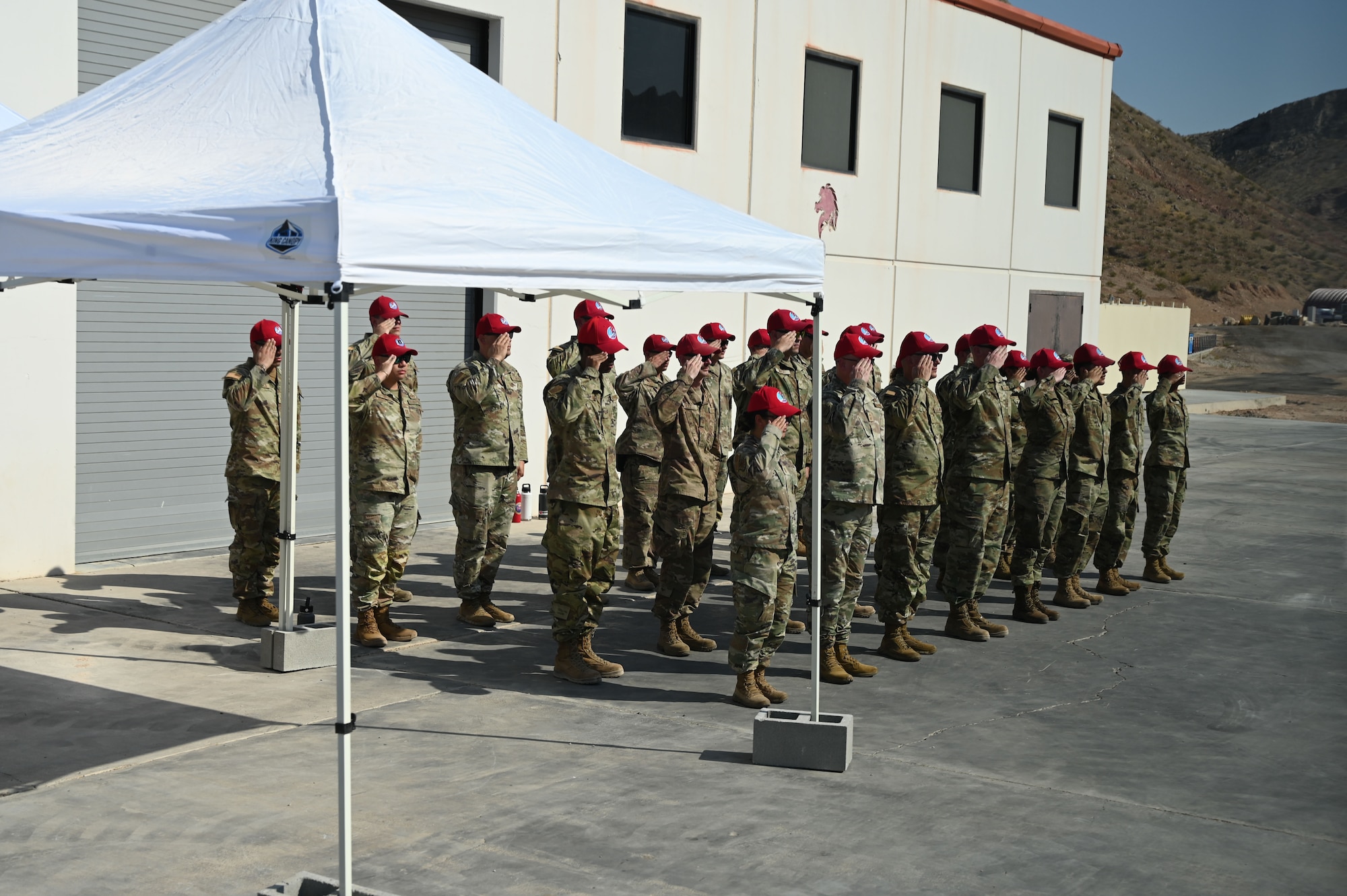 Military members salute as they stand in formation