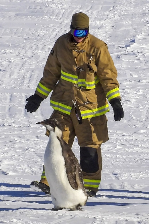 Pennsylvania Air National Guardsman Staff Sgt. Robbie Gregor from the 171st Air Refueling Wing gently encourages an emperor penguin to leave an active runway while supporting Operation Deep Freeze at the National Science Foundation's McMurdo Research Center, Antarctica, January, 2024. Operation Deep Freeze involves logistical support for scientific research including astrophysics, aeronomy, biology and ecosystems, geology and geophysics, glaciology, geomorphology, ice cores, geospace sciences, and ocean and climate systems (Courtesy Photo)