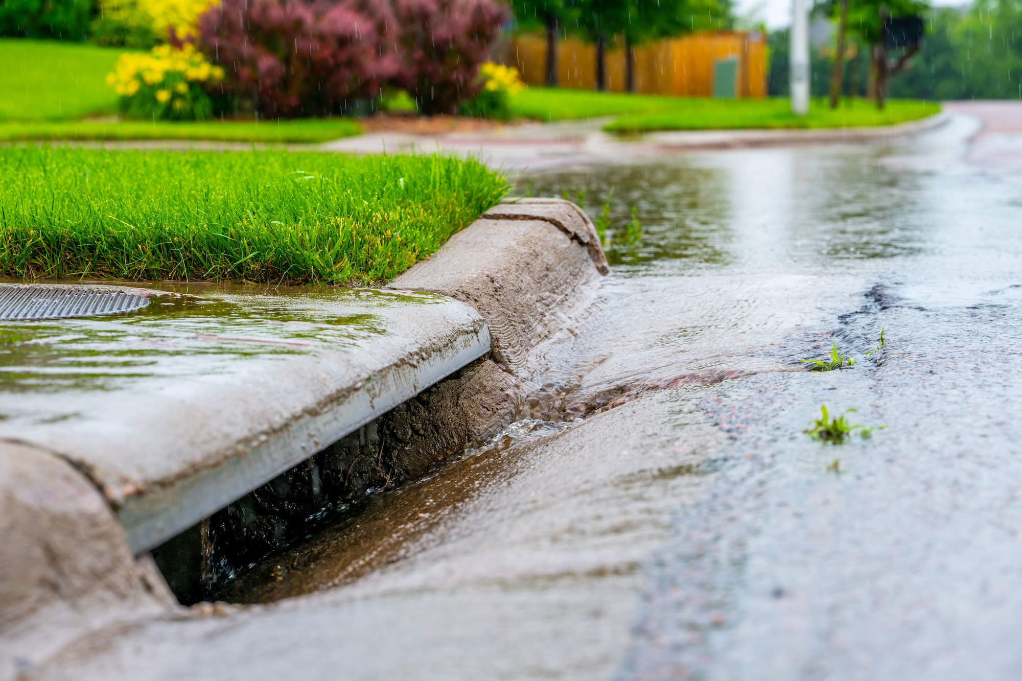 Stormwater flowing into drain on street