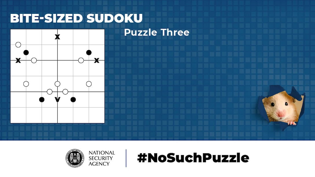 No Such Puzzle: Bite-Sized Sudoku Puzzle Three Graphic