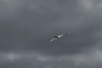 A U.S. Air Force B-2 Spirit stealth bomber takes off for a Bomber Task Force mission at Royal Australian Air Force Base Amberley, Australia, Sept. 5, 2024. U.S. Strategic Command forces are on watch 24 hours a day, seven days a week to deter and detect strategic attack against the U.S. and its allies. (U.S. Air Force photo by Tech. Sgt. Anthony Hetlage)