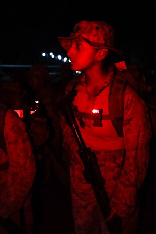 From Pinks & Greens to Dress Blues