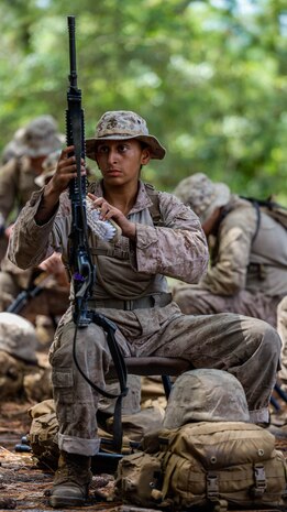 From Pinks & Greens to Dress Blues