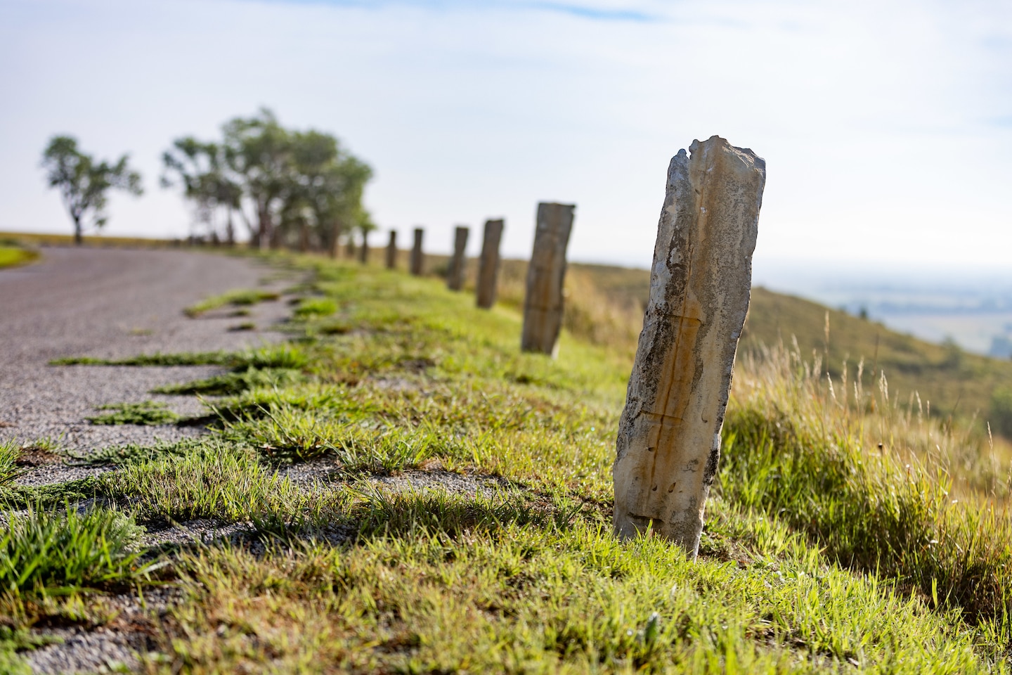 Grey rock formations stand in grass with grey gravel to the left, grass to the right and blue sky in the background.