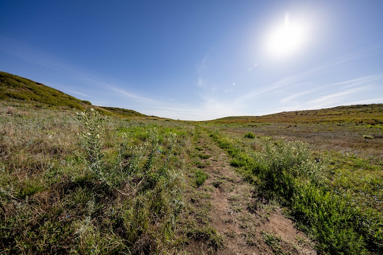 Grass and plants are in the foreground with blue sky in the background.