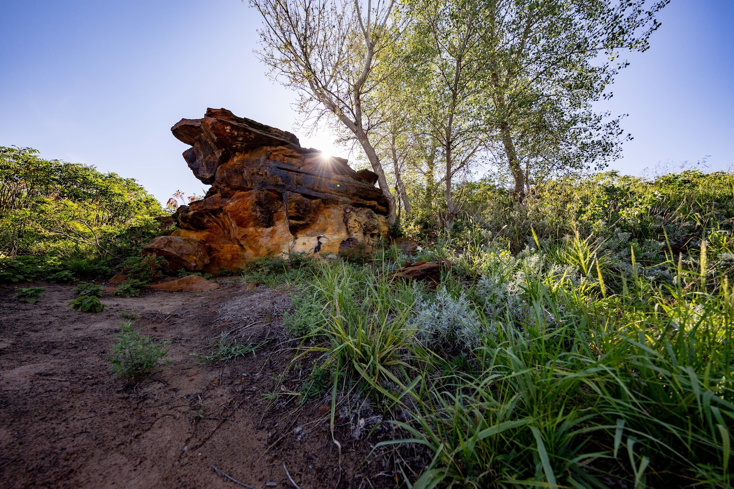 A rock formation is surrounded by grass and trees to the left with sky in the background.