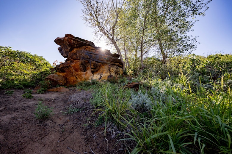 A rock formation is surrounded by grass and trees to the left with sky in the background.