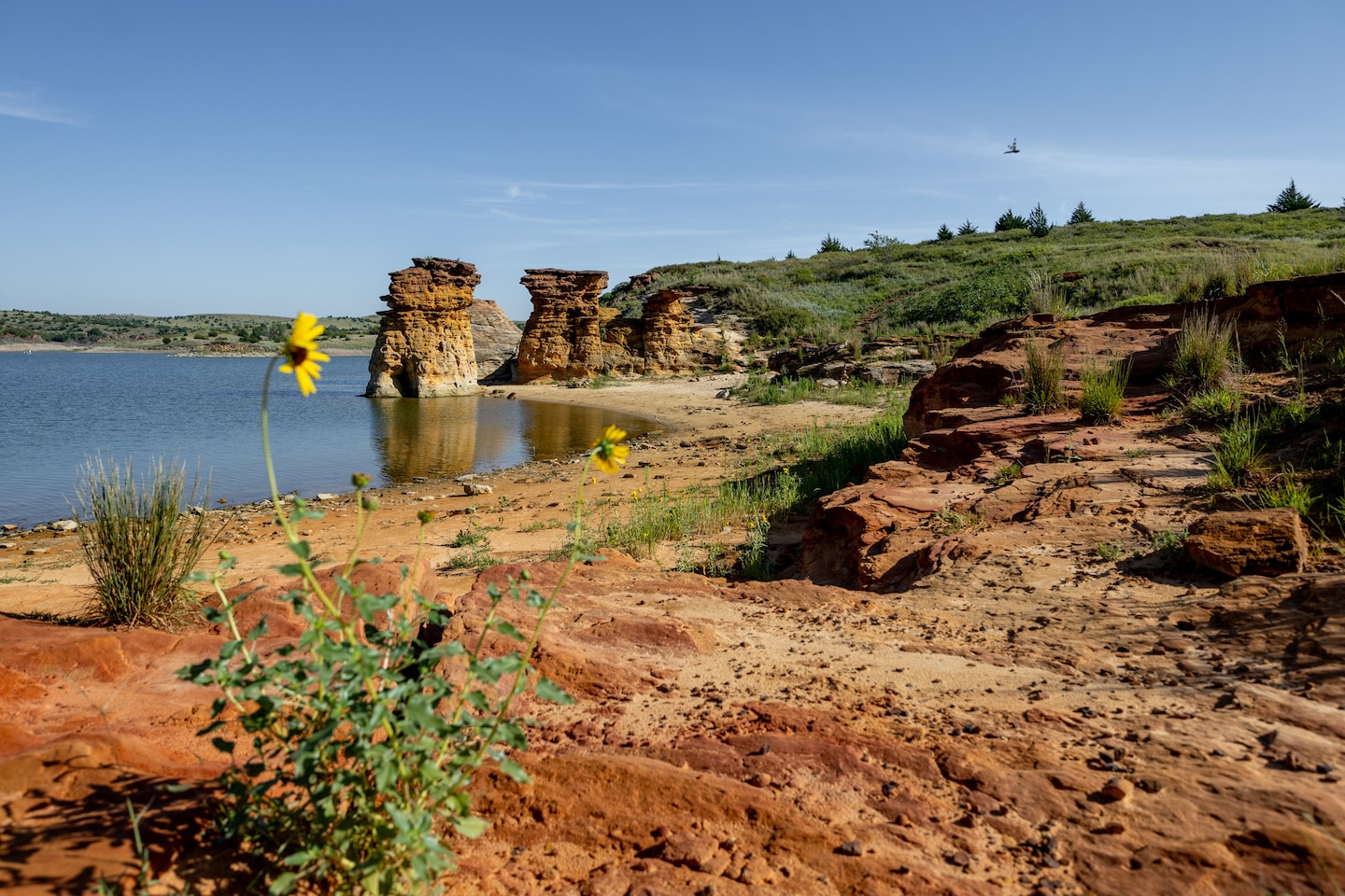 Large rock formations are in the background with water to the left, grass to the right, sky above, and red rock in the foreground with a yellow flower.