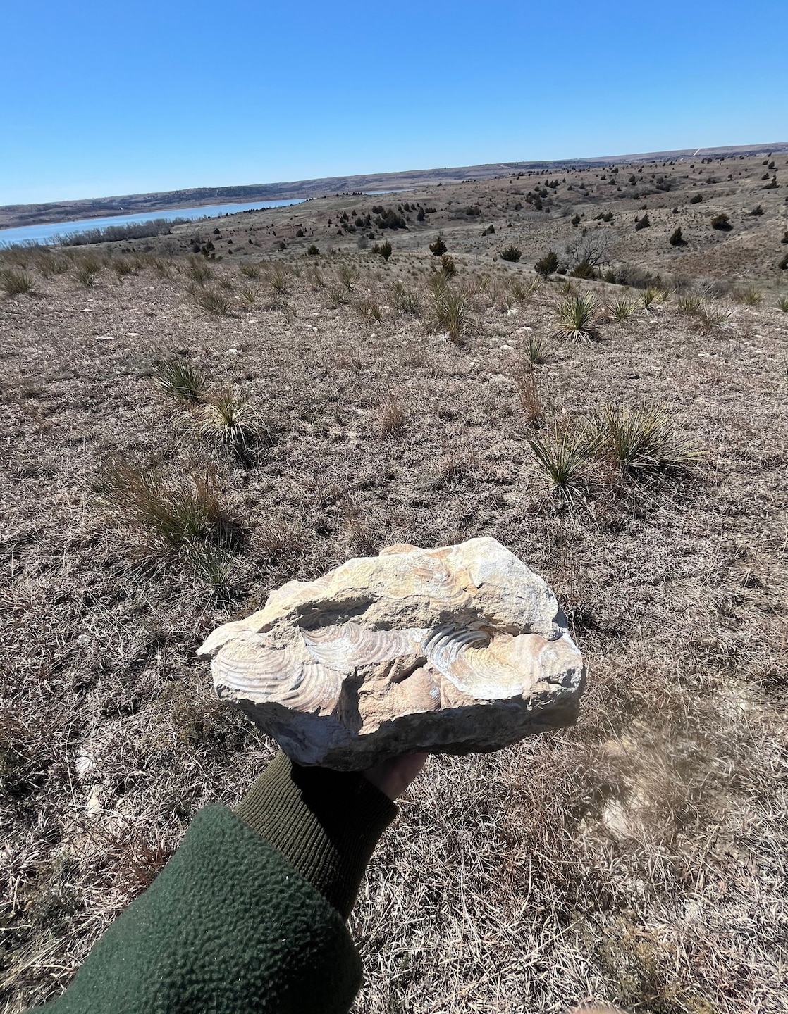 An arm is outstreched holding a grey rock with brown and blue sky in the background.