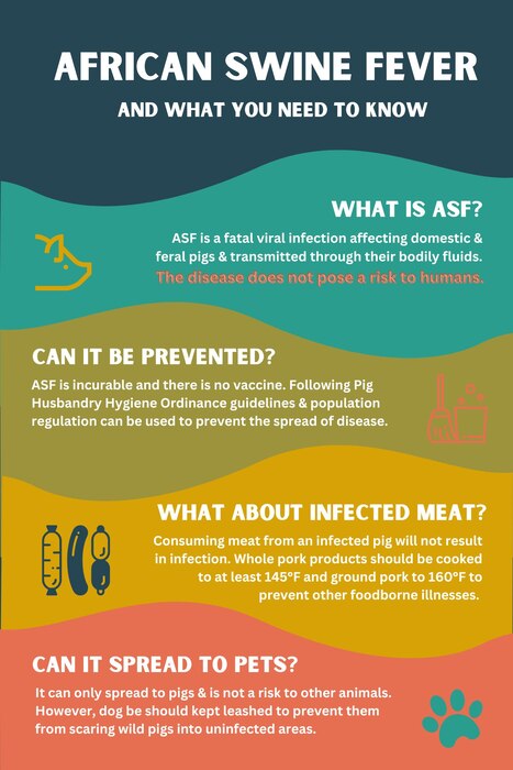 graphic with information on African Swine Fever