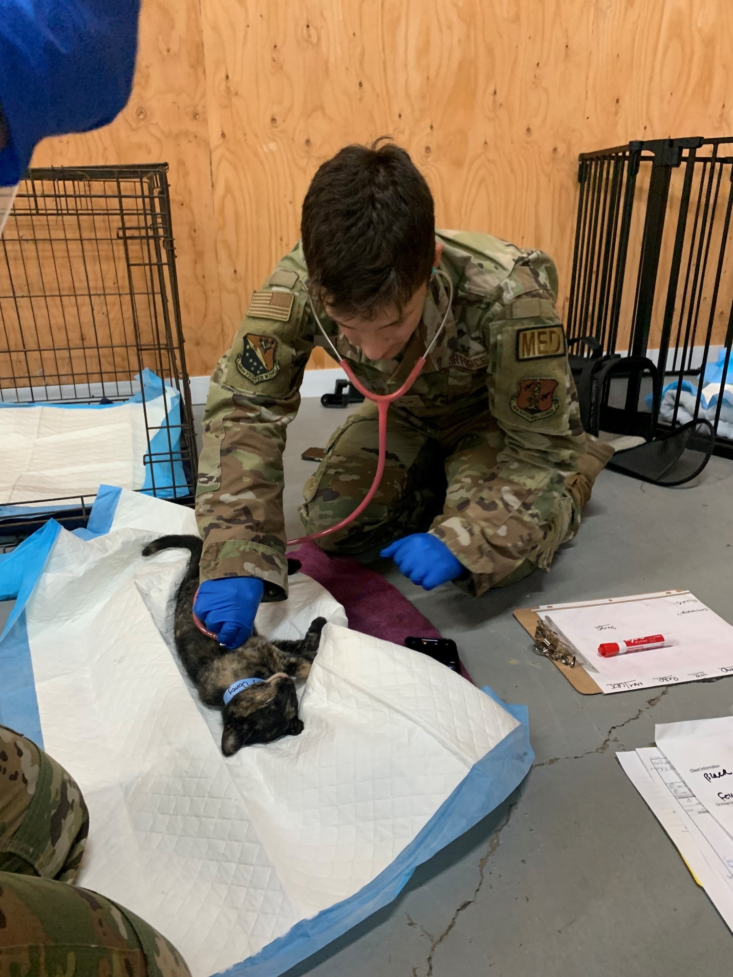 U.S. Air Force Senior Airman Maxton Devlin, a health services manager assigned to the 148th Fighter Wing, Minnesota Air National Guard, provides care to a dog while conducting an Innovative Readiness Training mission at Fort Belknap Indian Reservation, Montana, August 9, 2024. The Innovative Readiness Training mission is a DoD military program exclusive to the United States and its territories that delivers joint training opportunities to increase deployments readiness while simultaneously providing key health care to communities with limited access to resources. (Courtesy photo)