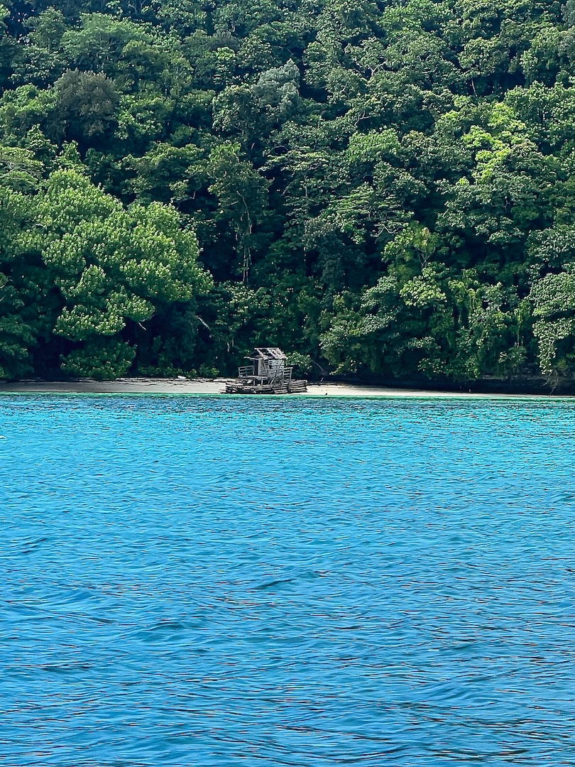 An illegal fish aggregating device sits washed ashore in the Republic of Palau as seen from a vessel on Sept. 9, 2024. In a recent joint operation, which occurred Sept. 6-8, 2024, a U.S. Coast Guard HC-130 Hercules and aircrew embarked Palauan enforcement officials and Coast Guard specialists to patrol over 6,000 miles, identifying numerous illegal fish aggregation devices (FADs) and sighting vessels in and around Palau's EEZ. At the request of the Republic of Palau and in response to their concerns of potential illicit maritime activity occurring in Palau's Exclusive Economic Zone (EEZ), U.S. Coast Guard Forces Micronesia Sector Guam (FMSG) and U.S. Coast Guard Air Station Barbers Point dispatched personnel and equipment to enact the Agreement between the U.S. and Palau Concerning Operational Cooperation to Suppress Illicit Transnational Maritime Activity (U.S. – Palau Bilateral Agreement), and in doing so enhance Palau’s maritime domain awareness. (U.S. Coast Guard photo)