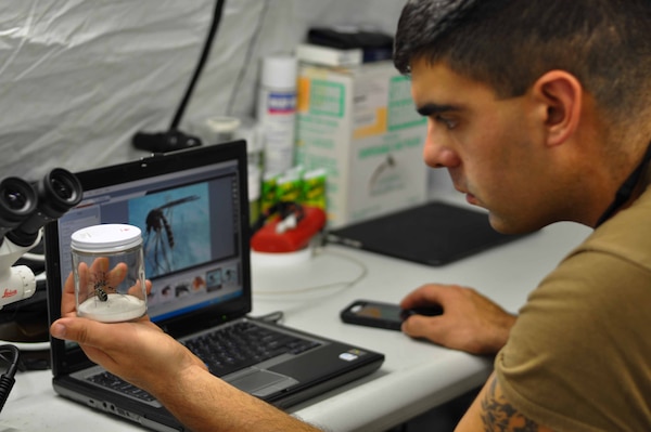 Hospitalman Derek Galvao of Forward Deployable Preventive Medicine Unit (FDPMU) FDPMU East Team attached to Navy Environmental Preventive Medicine Unit Two, observes a spider during Bold Alligator in Bogue Field, NC. FDPMU’s defend public health for deployed service members. These Navy units focus on medical readiness and Force Health Protection. FDPMUs must undergo nine-to-12-month training and an Operational Readiness Evaluation (ORE) before certification by Commander, Naval Medical Forces Command. Once certified, they are always prepared for immediate action, with two teams on the watch always. During exercises like Bold Alligator, they hone and practice skills, focusing on preventive medicine, health surveillance, and disease prevention. (U.S. Navy courtesy photo)