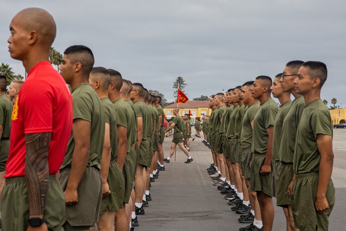 New U.S. Marines with Charlie Company, 1st Recruit Training Battalion, stand in formation before their motivational run at Marine Corps Recruit Depot San Diego, California, Sept. 12, 2024. The company motivational run is a three-mile cadence run conducted around the Depot and is the last physical training event the Marines will conduct before the graduate from MCRD San Diego. The event is also the first time friends and families will see their newly transformed Marines. (U.S Marine Corps Cpl. Sarah M. Grawcock)
